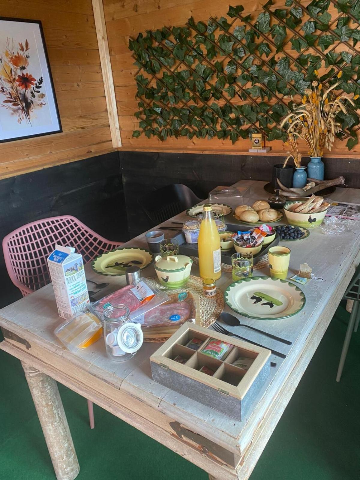 Vakantiehuis Klaartje Kip Voor 4 Personen, Landelijk Gelegen! Enschede Dış mekan fotoğraf